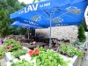 smestaj fruska gora banja vrdnik 10