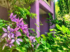 apartmani-helena-vrdnik-smestaj-vila-07