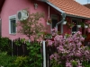 banja-vrdnik-apartman-kod-banje-20