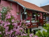 banja-vrdnik-apartman-kod-banje-21