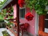 banja-vrdnik-apartman-kod-banje-27