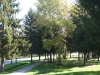 banja-vrdnik-25