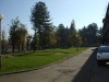 banja-vrdnik-30