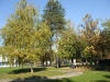 banja-vrdnik-35