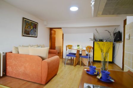apartmani tomic vrdnik smestaj
